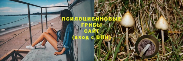 круглые Алзамай